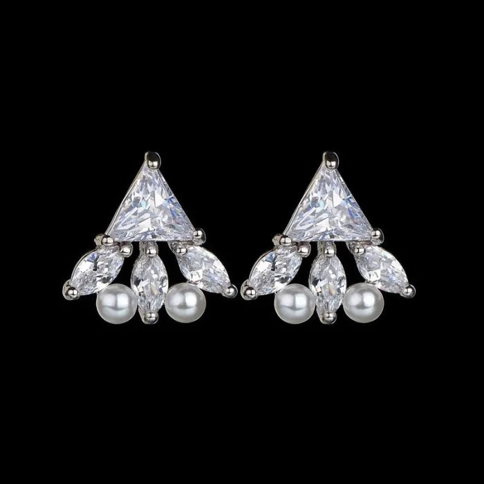 925 Sterling Silver Pin AAA Zircon Inlaid Earrings